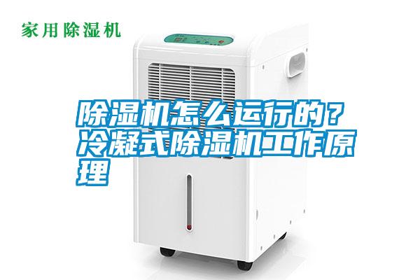 除濕機(jī)怎么運(yùn)行的？冷凝式除濕機(jī)工作原理