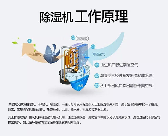 潮濕天氣狗最容易患上這種毛??！三個(gè)注意事項(xiàng)，鏟屎官一定要看看