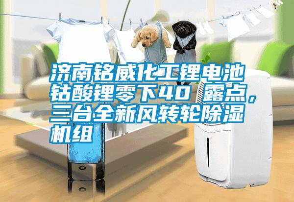 濟南銘威化工鋰電池鈷酸鋰零下40℃露點，三臺全新風轉(zhuǎn)輪除濕機組