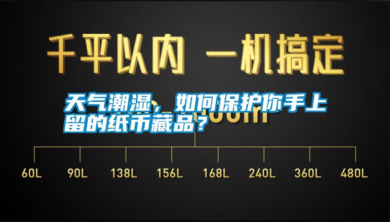 天氣潮濕，如何保護(hù)你手上留的紙幣藏品？