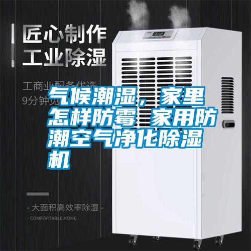 氣候潮濕，家里怎樣防霉 家用防潮空氣凈化除濕機(jī)