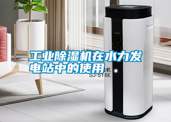 工業(yè)除濕機(jī)在水力發(fā)電站中的使用