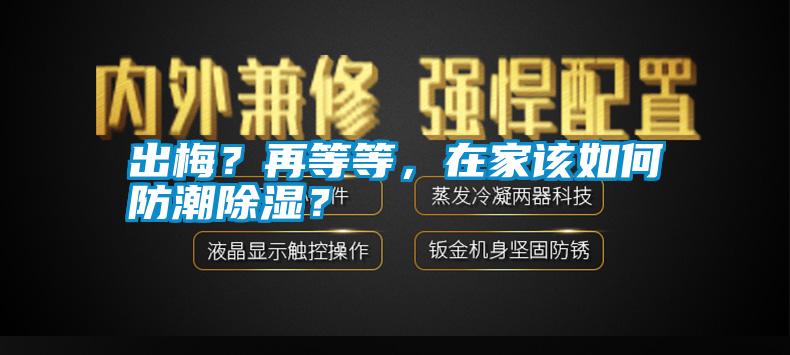 出梅？再等等，在家該如何防潮除濕？