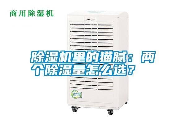 除濕機(jī)里的貓膩：兩個(gè)除濕量怎么選？