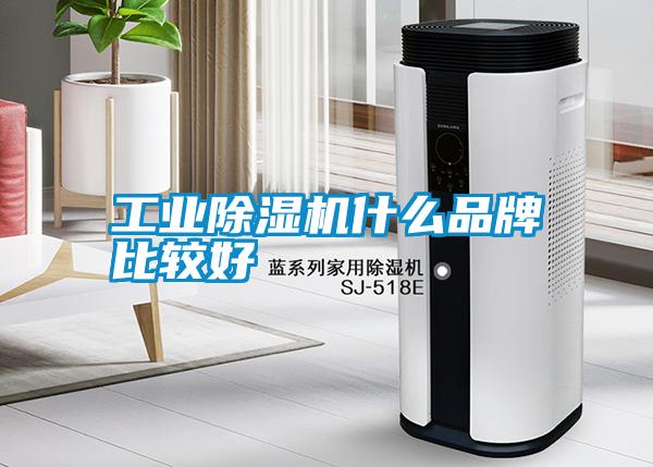 工業(yè)除濕機(jī)什么品牌比較好