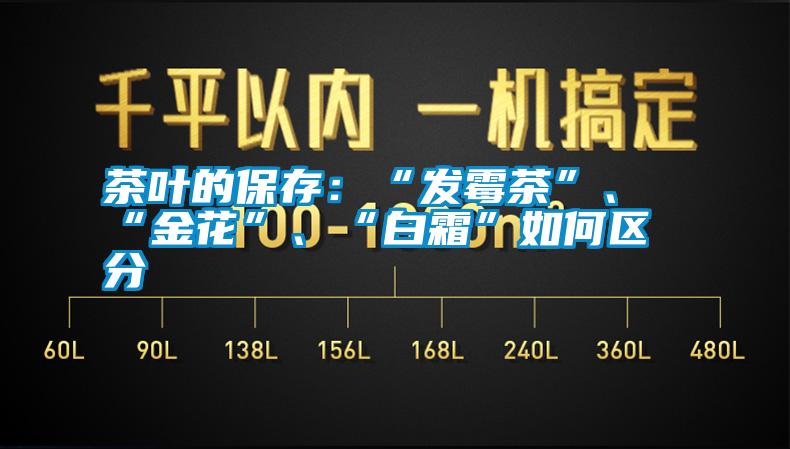 茶葉的保存：“發(fā)霉茶”、“金花”、“白霜”如何區(qū)分