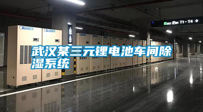 武漢某三元鋰電池車間除濕系統(tǒng)