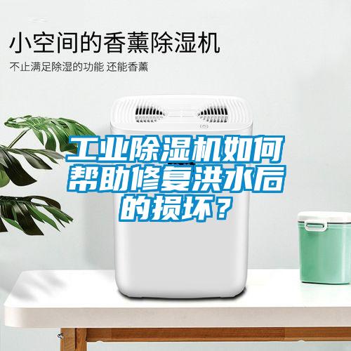 工業(yè)除濕機(jī)如何幫助修復(fù)洪水后的損壞？