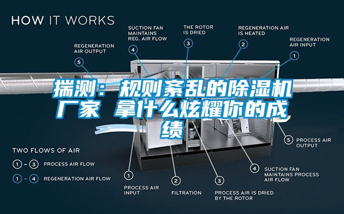 揣測：規(guī)則紊亂的除濕機(jī)廠家 拿什么炫耀你的成績