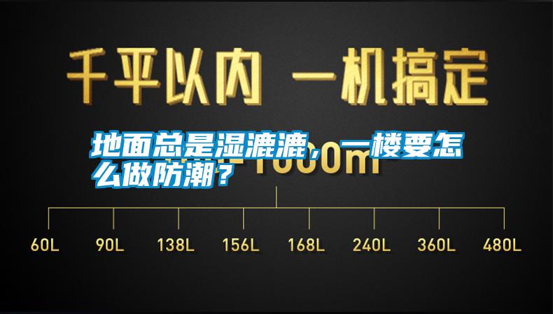 地面總是濕漉漉，一樓要怎么做防潮？