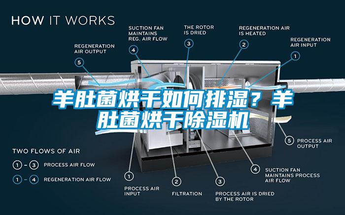 羊肚菌烘干如何排濕？羊肚菌烘干除濕機