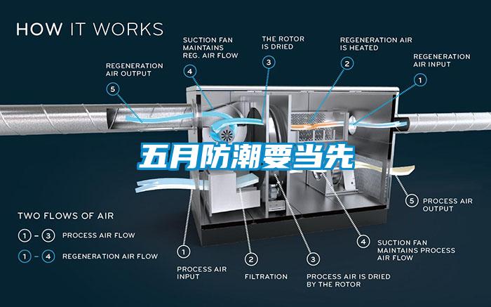 五月防潮要當(dāng)先