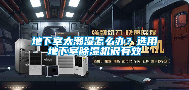 地下室太潮濕怎么辦？選用地下室除濕機(jī)很有效