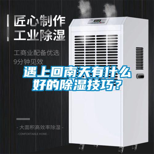 遇上回南天有什么好的除濕技巧？