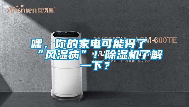 嘿，你的家電可能得了“風(fēng)濕病”！除濕機了解一下？