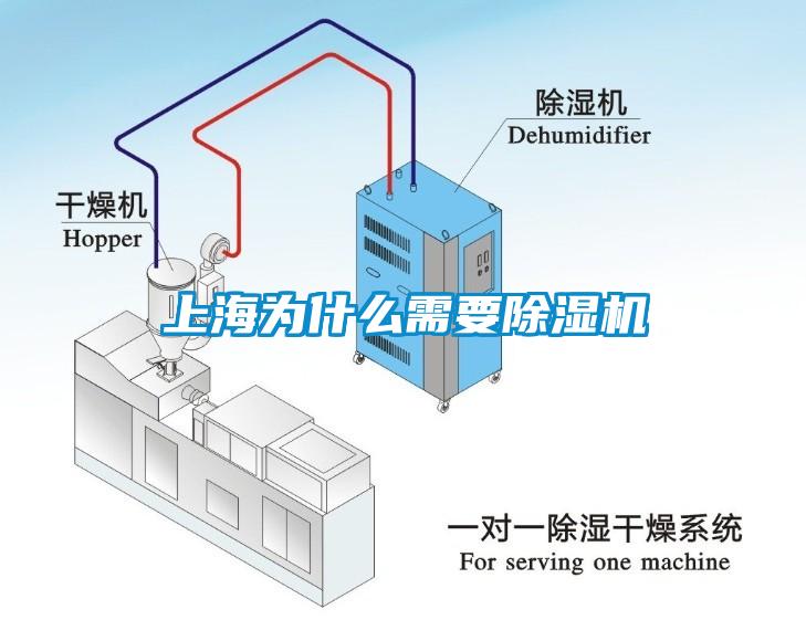 上海為什么需要除濕機