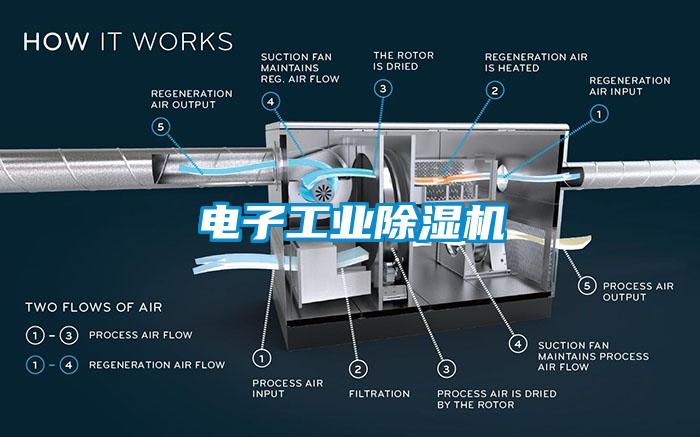 電子工業(yè)除濕機(jī)