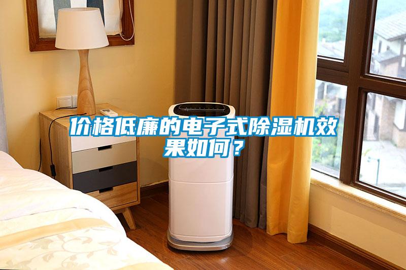 價格低廉的電子式除濕機效果如何？