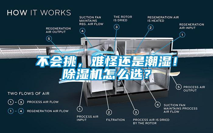 不會挑，難怪還是潮濕！除濕機(jī)怎么選？