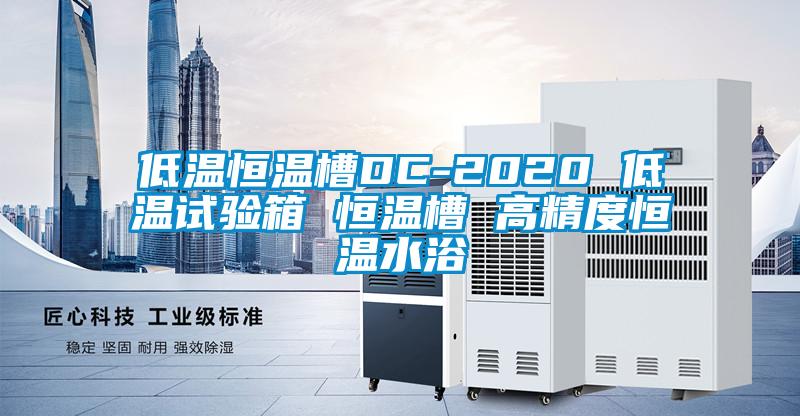 低溫恒溫槽DC-2020 低溫試驗箱 恒溫槽 高精度恒溫水浴