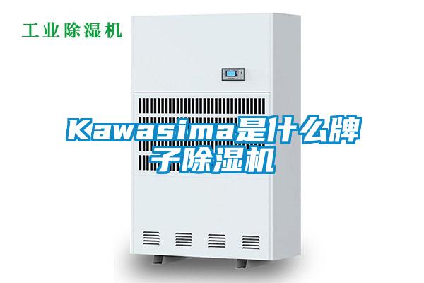 Kawasima是什么牌子除濕機