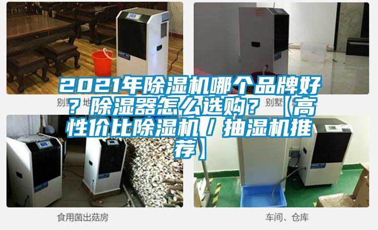 2021年除濕機哪個品牌好？除濕器怎么選購？【高性價比除濕機／抽濕機推薦】