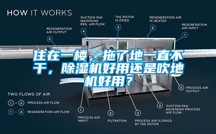 住在一樓，拖了地一直不干，除濕機(jī)好用還是吹地機(jī)好用？