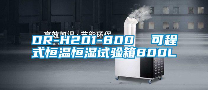 DR-H201-800  可程式恒溫恒濕試驗(yàn)箱800L