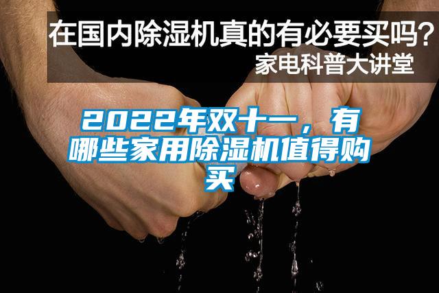 2022年雙十一，有哪些家用除濕機(jī)值得購買