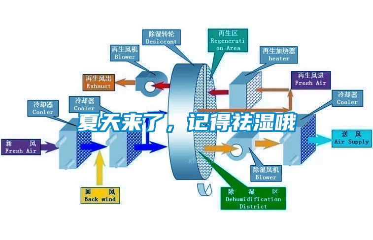 夏天來了，記得祛濕哦