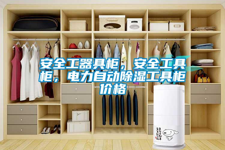 安全工器具柜，安全工具柜，電力自動(dòng)除濕工具柜價(jià)格