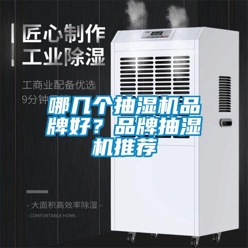 哪幾個抽濕機(jī)品牌好？品牌抽濕機(jī)推薦