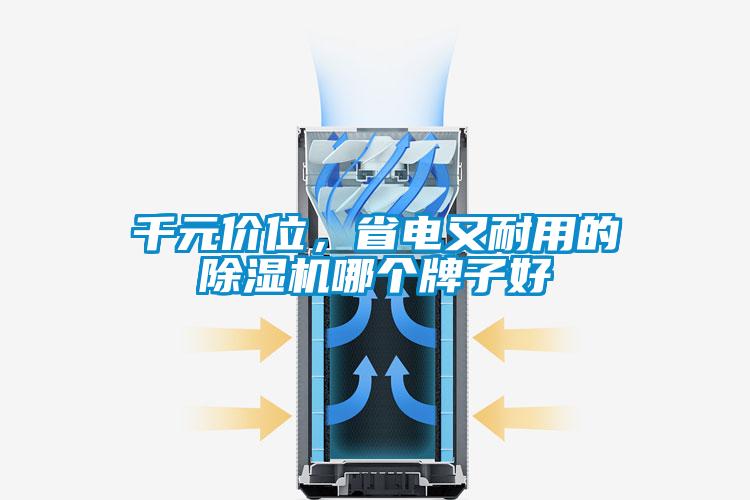 千元價(jià)位，省電又耐用的除濕機(jī)哪個(gè)牌子好