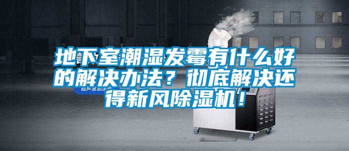 地下室潮濕發(fā)霉有什么好的解決辦法？徹底解決還得新風(fēng)除濕機(jī)！