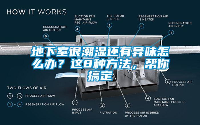 地下室很潮濕還有異味怎么辦？這8種方法，幫你搞定