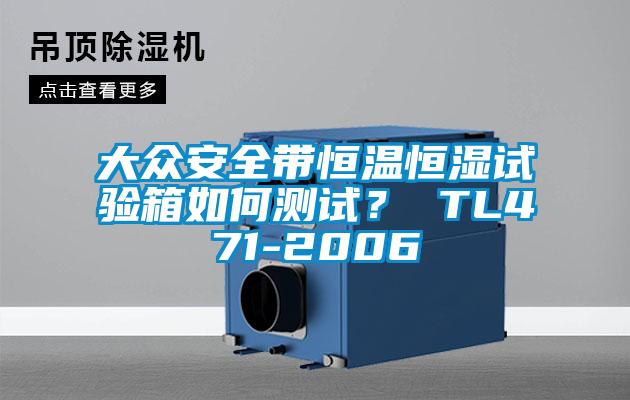 大眾安全帶恒溫恒濕試驗箱如何測試？ TL471-2006