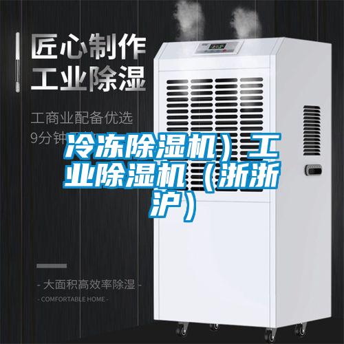 冷凍除濕機）工業(yè)除濕機（浙浙滬）