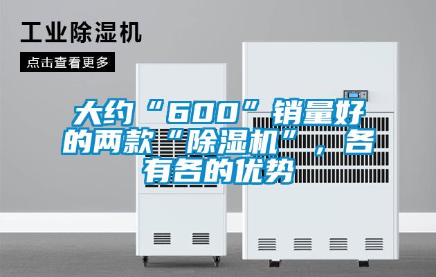 大約“600”銷量好的兩款“除濕機”，各有各的優(yōu)勢