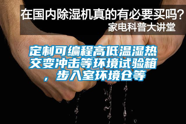 定制可編程高低溫濕熱交變沖擊等環(huán)境試驗箱，步入室環(huán)境倉等