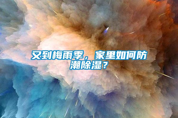 又到梅雨季，家里如何防潮除濕？