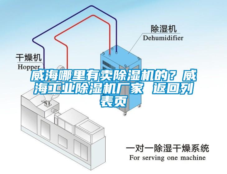 威海哪里有賣除濕機(jī)的？威海工業(yè)除濕機(jī)廠家 返回列表頁(yè)