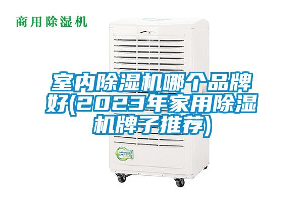 室內(nèi)除濕機(jī)哪個品牌好(2023年家用除濕機(jī)牌子推薦)