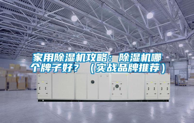 家用除濕機攻略：除濕機哪個牌子好？（實戰(zhàn)品牌推薦）