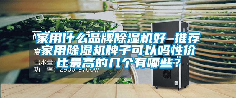 家用什么品牌除濕機好 推薦家用除濕機牌子可以嗎性價比最高的幾個有哪些？