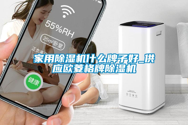 家用除濕機什么牌子好_供應歐菱格牌除濕機