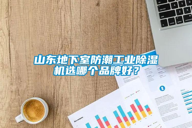 山東地下室防潮工業(yè)除濕機(jī)選哪個品牌好？