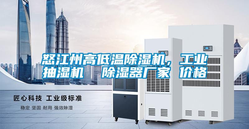 怒江州高低溫除濕機，工業(yè)抽濕機  除濕器廠家 價格