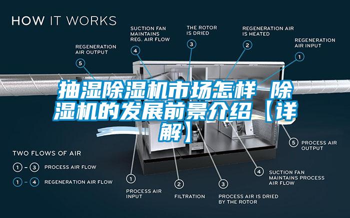 抽濕除濕機(jī)市場(chǎng)怎樣 除濕機(jī)的發(fā)展前景介紹【詳解】