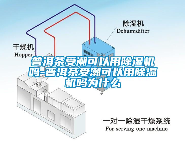 普洱茶受潮可以用除濕機嗎-普洱茶受潮可以用除濕機嗎為什么