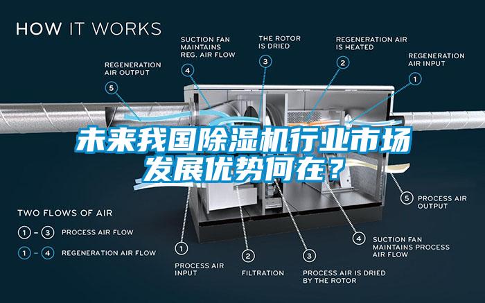 未來我國除濕機行業(yè)市場發(fā)展優(yōu)勢何在？